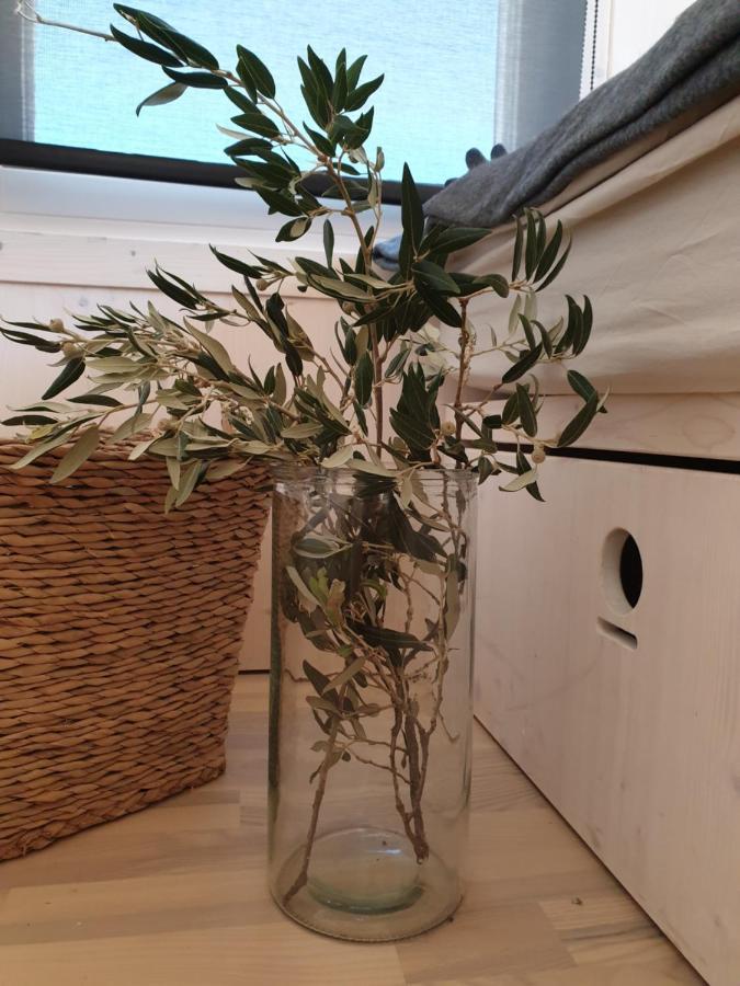 Eco Resort Buqez Villa 34 德拉格 外观 照片